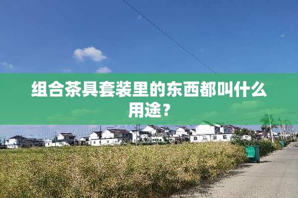 组合茶具套装里的东西都叫什么用途？