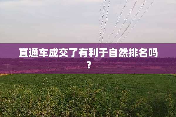 直通车成交了有利于自然排名吗？
