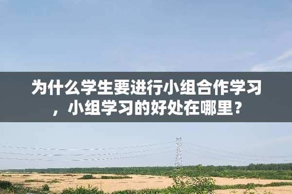 为什么学生要进行小组合作学习，小组学习的好处在哪里？