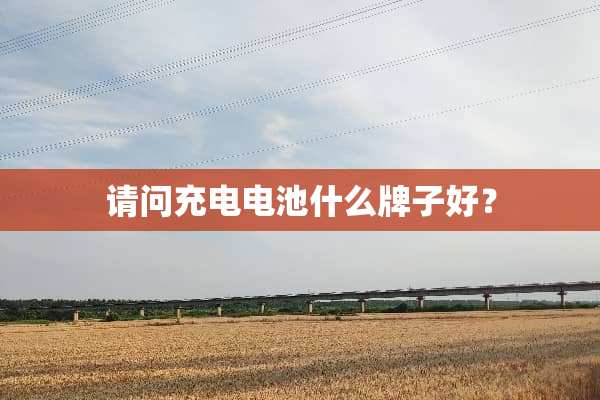 请问充电电池什么牌子好？
