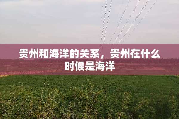 贵州和海洋的关系，贵州在什么时候是海洋