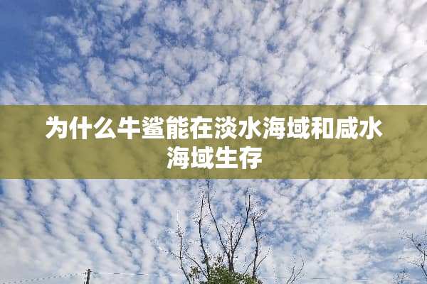 为什么牛鲨能在淡水海域和咸水海域生存