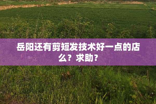 岳阳还有剪短发技术好一点的店么？求助？