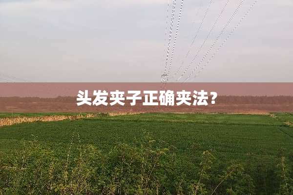 头发夹子正确夹法？