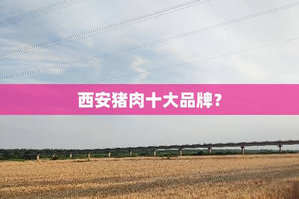 西安猪肉十大品牌？