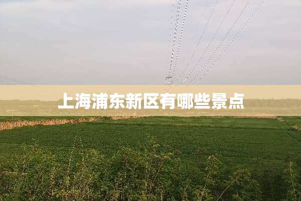 上海浦东新区有哪些景点