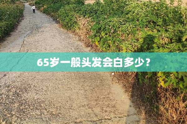 65岁一般头发会白多少？
