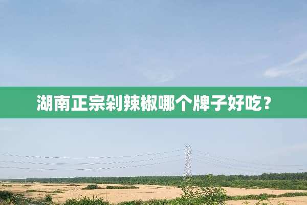 湖南正宗剁辣椒哪个牌子好吃？