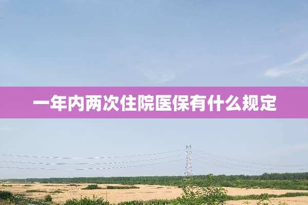 一年内两次住院医保有什么规定