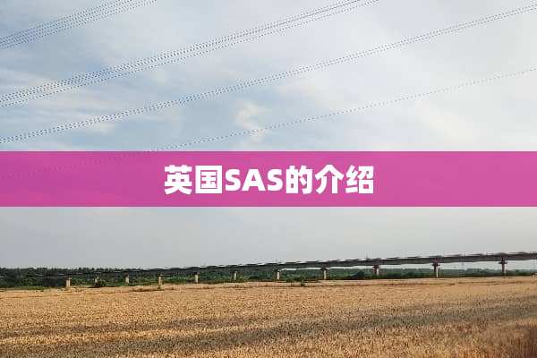 英国SAS的介绍