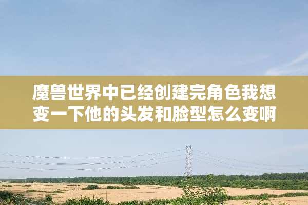 魔兽世界中已经创建完角色我想变一下他的头发和脸型怎么变啊？