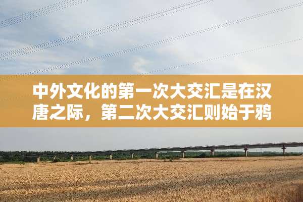 中外文化的第一次大交汇是在汉唐之际，第二次大交汇则始于**战争以后对吗