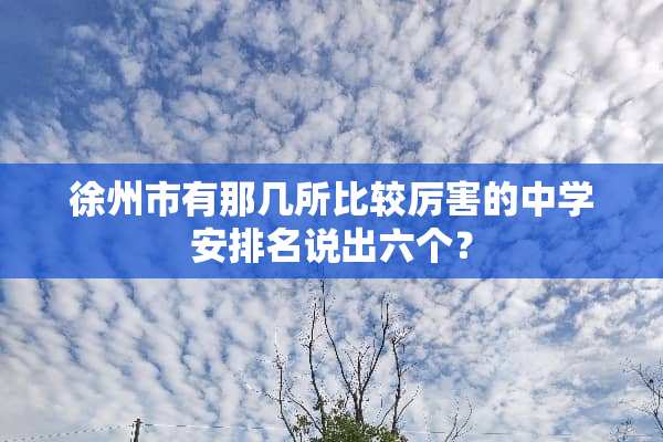 徐州市有那几所比较厉害的中学安排名说出六个？