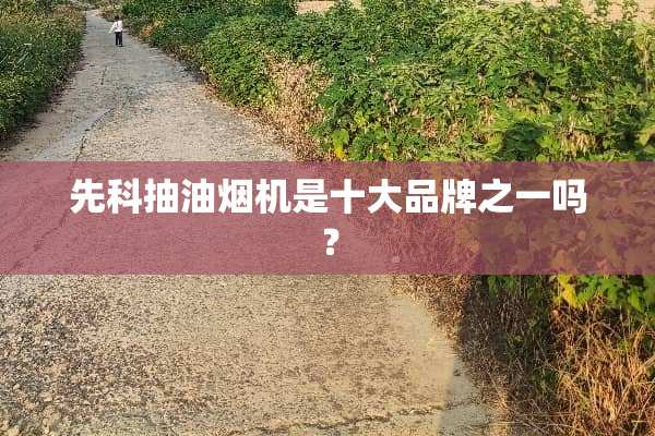 先科抽油烟机是十大品牌之一吗？