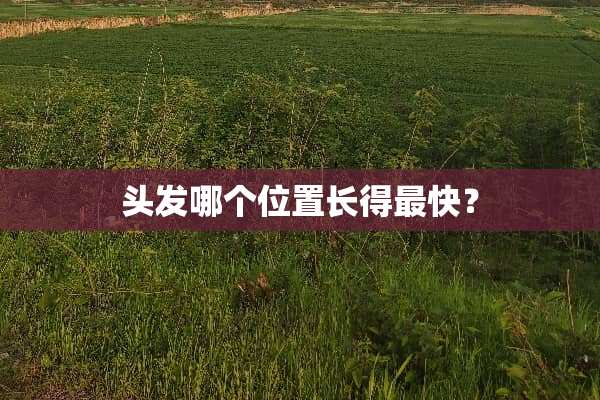 头发哪个位置长得最快？