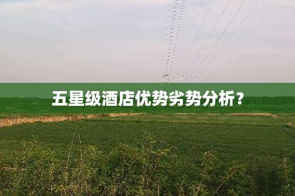 五星级酒店优势劣势分析？