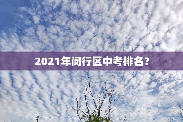 2021年闵行区中考排名？