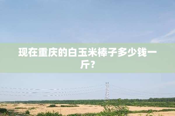 现在重庆的白玉米棒子多少钱一斤？