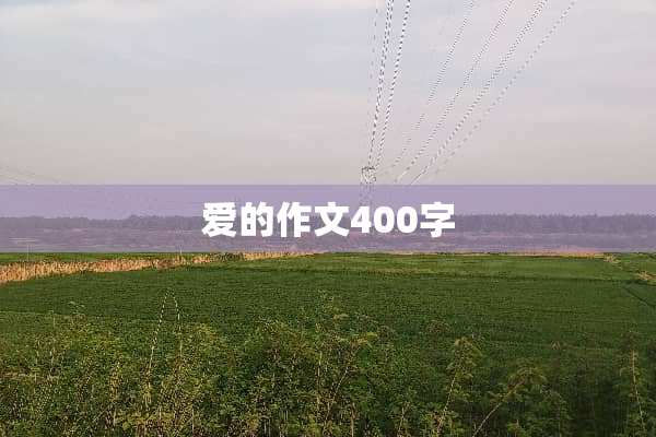 爱的作文400字