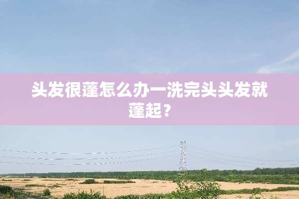 头发很蓬怎么办一洗完头头发就蓬起？