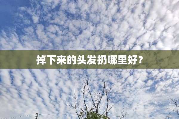 掉下来的头发扔哪里好？