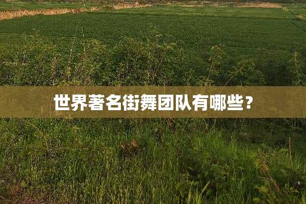 世界著名街舞团队有哪些？