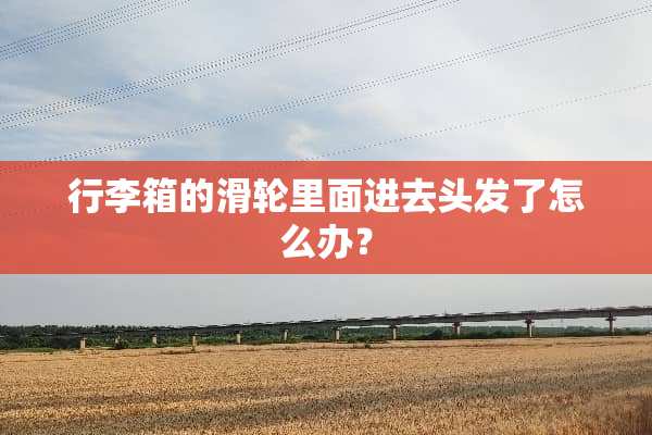 行李箱的滑轮里面进去头发了怎么办？
