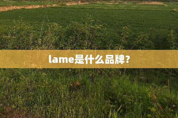 lame是什么品牌？