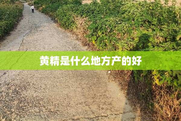 黄精是什么地方产的好