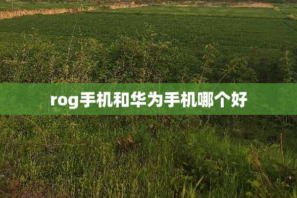 rog手机和华为手机哪个好