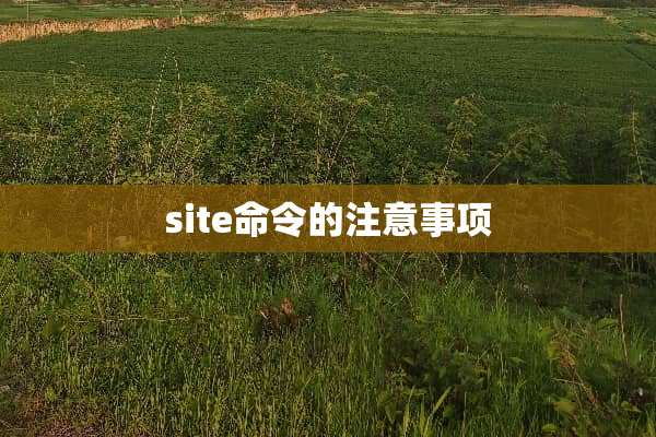 site命令的注意事项