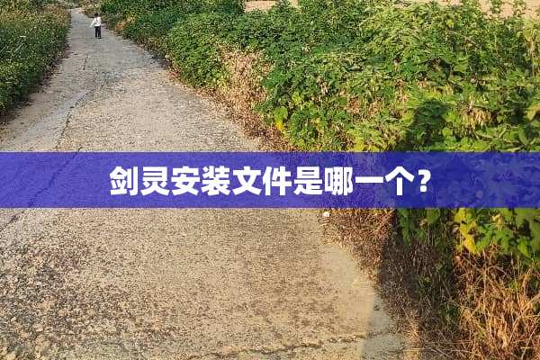 剑灵安装文件是哪一个？