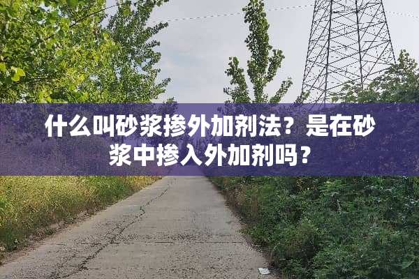 什么叫砂浆掺外加剂法？是在砂浆中掺入外加剂吗？