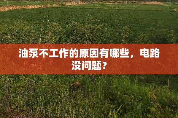 油泵不工作的原因有哪些，电路没问题？