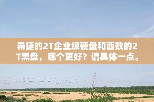 希捷的2T企业级硬盘和西数的2T黑盘，哪个更好？请具体一点。