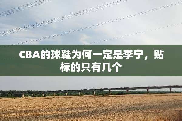 CBA的球鞋为何一定是李宁，贴标的只有几个