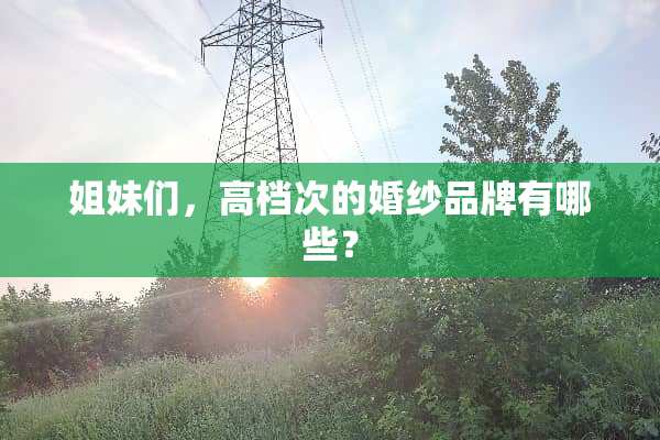 姐妹们，高档次的婚纱品牌有哪些？