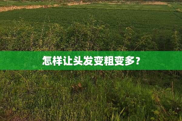 怎样让头发变粗变多？