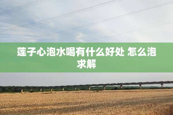 莲子心泡水喝有什么好处 怎么泡求解