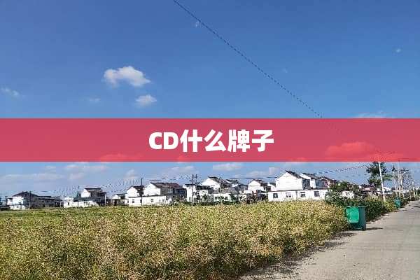 CD什么牌子