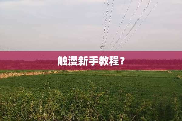 触漫新手教程？