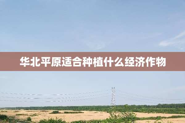 华北平原适合种植什么经济作物