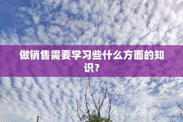 做销售需要学习些什么方面的知识？