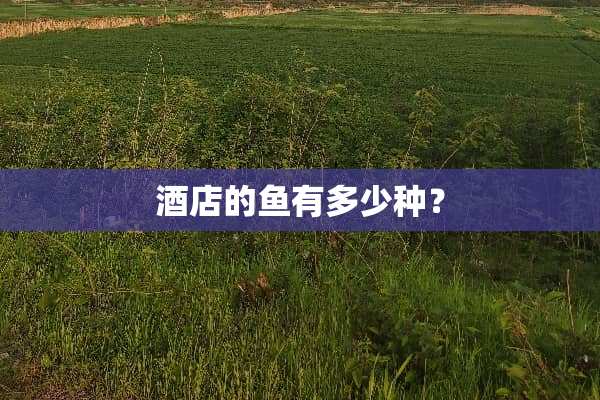 酒店的鱼有多少种？
