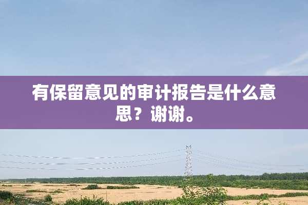 有保留意见的审计报告是什么意思？谢谢。