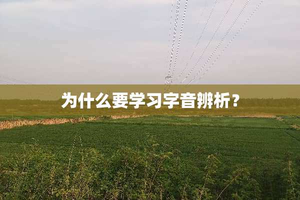 为什么要学习字音辨析？