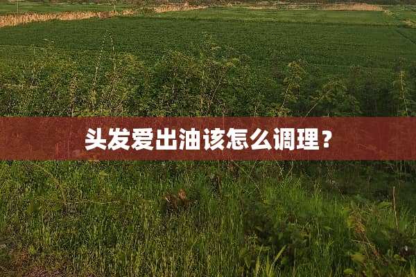 头发爱出油该怎么调理？
