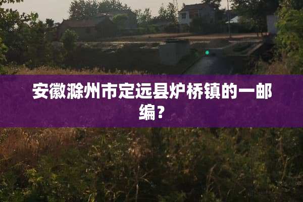 安徽滁州市定远县炉桥镇的一邮编？