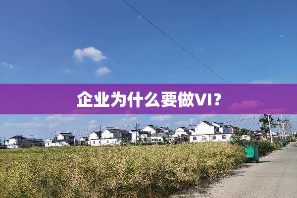 企业为什么要做VI？