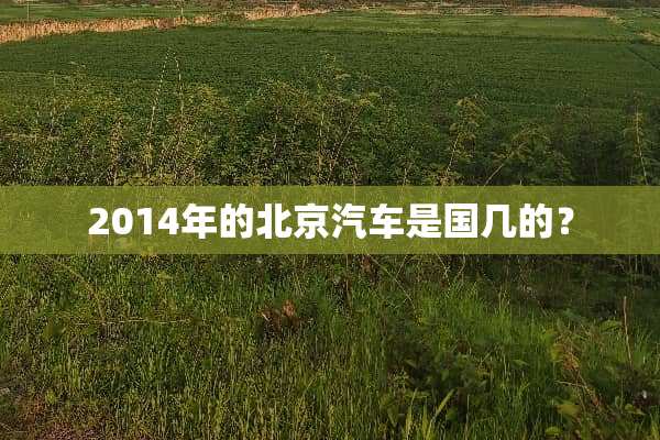 2014年的北京汽车是国几的？